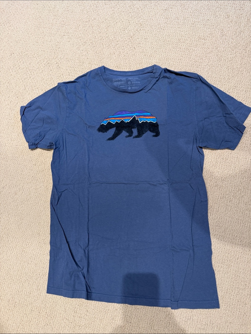 Patagonia Blue Short Sleeve Tee with Multicolor Bear Graphic